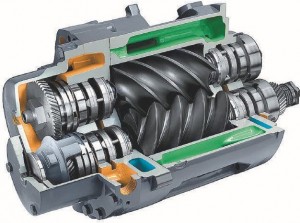 rotary-screw-element